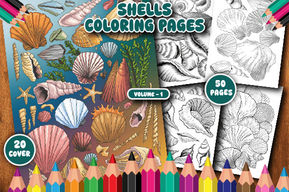 50 Shells Coloring Pages for Adult V-1
